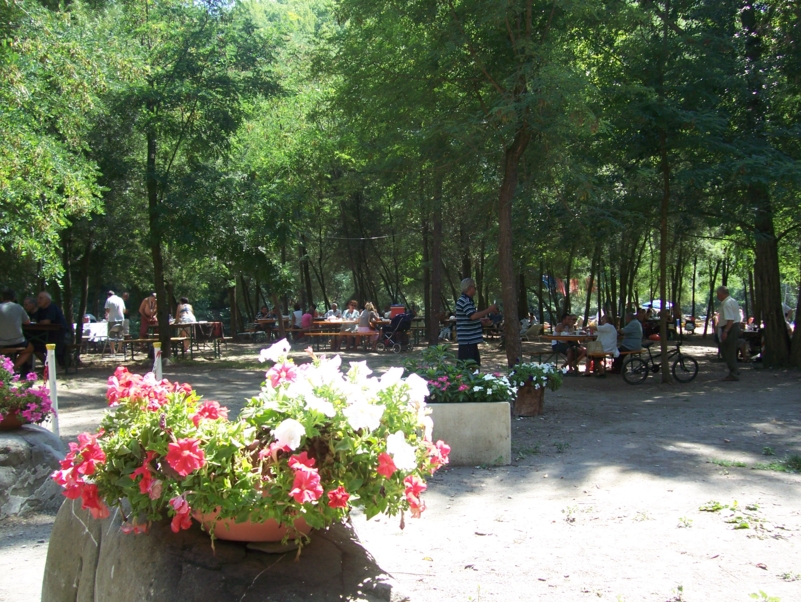  Image name: Estate003.jpg 
 width: 801 pixel 
 height: 602 pixel 
 Size: 528653 bytes 
 Click to enlarge 